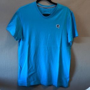 Express Bold Blue V-neck Tshirt
